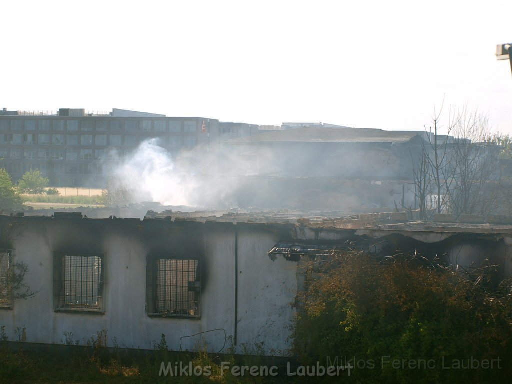 Feuer Koeln Ossendorf Butzweiler Hof neben IKEA P420.JPG